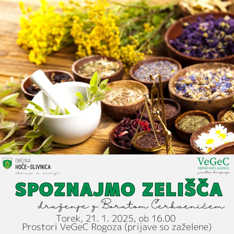 Spoznajmo zelišča - srečanje z Borutom Cerkveničem
